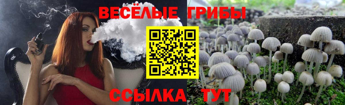 Псилоцибиновые грибы GOLDEN TEACHER Шелехов